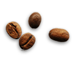 Coffee beans